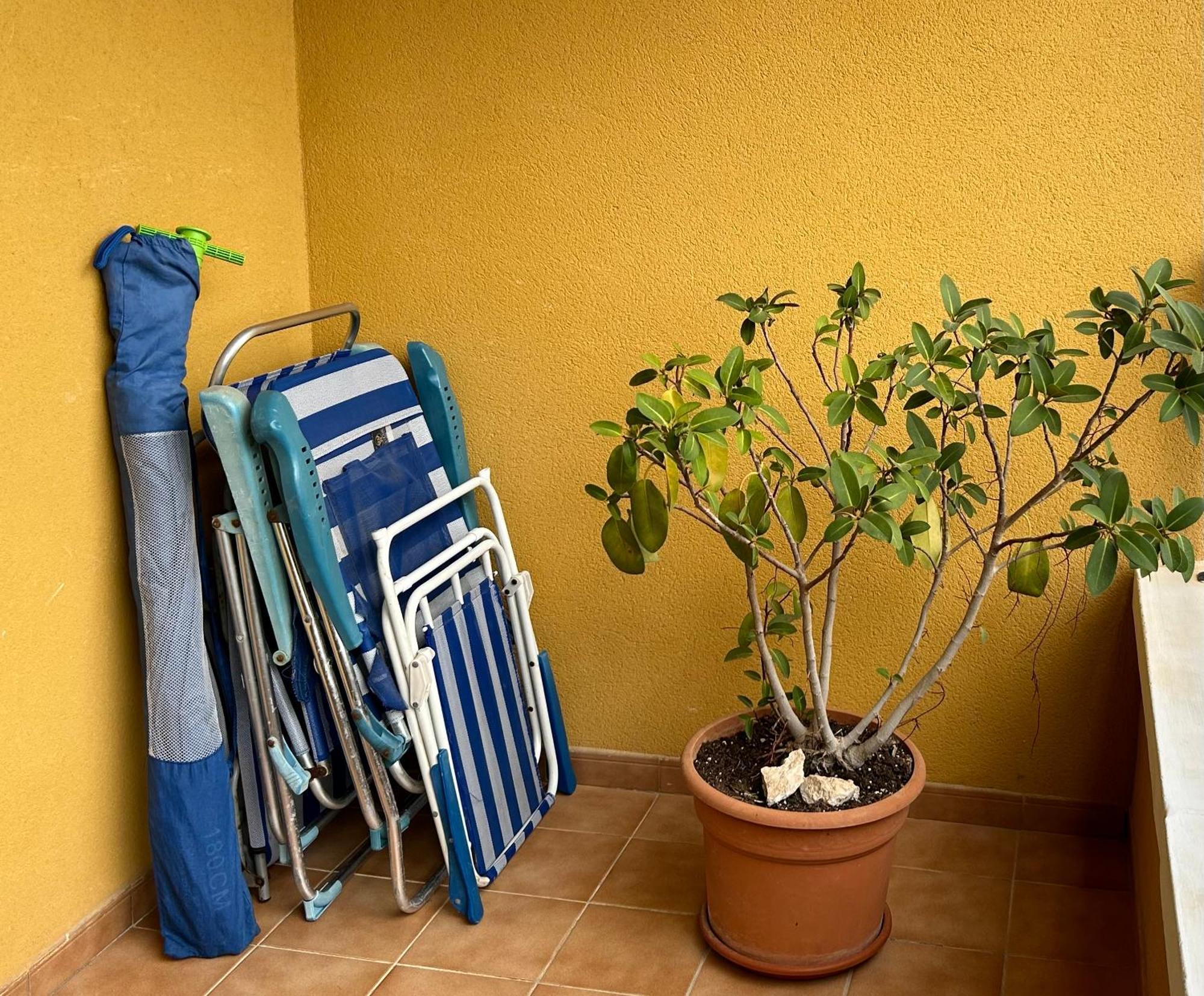 Apartamento Hermosa Glea กัมโปอามอร์ ภายนอก รูปภาพ